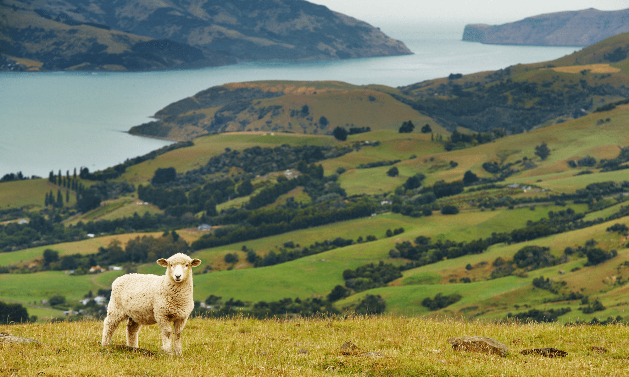 Innovation & Sustainability (11) (1)