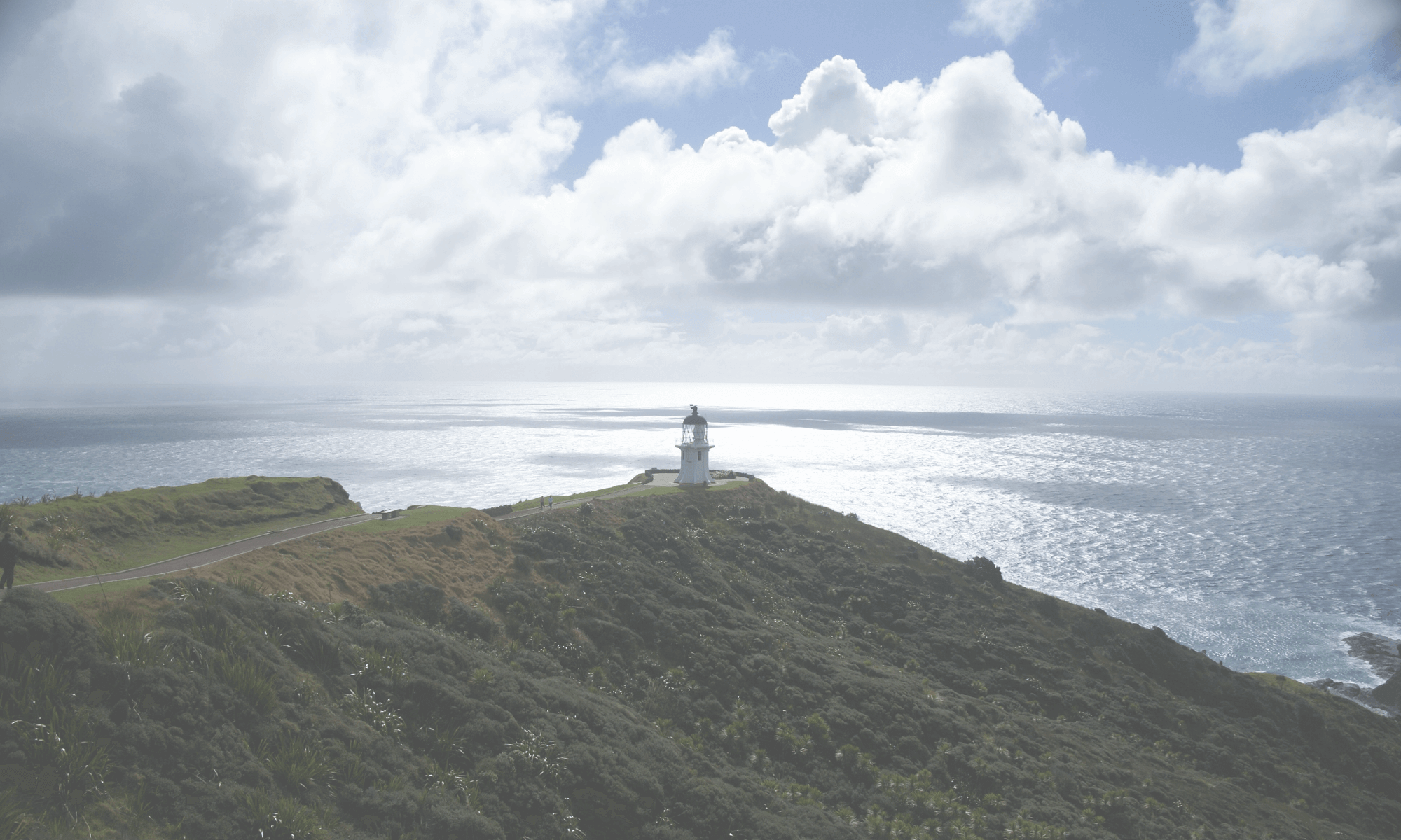 Innovation & Sustainability (4) (1) (1)